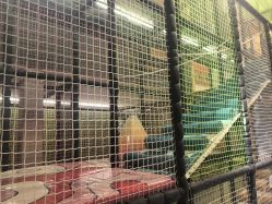 -meland club亲子乐园(北京芳圆里ID MALL店)