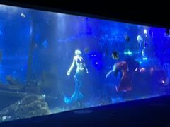 -江和美海洋公园