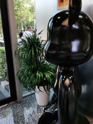 -Tloml salon