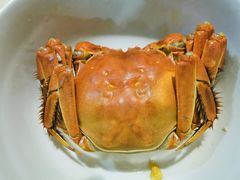 -七的湖·晚芳亭·阳澄湖农家菜·大闸蟹(莲花岛店)