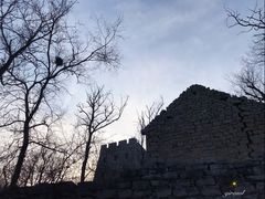 -井塘古村