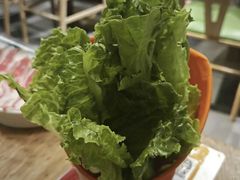 -菌小白火锅(时尚天河店)