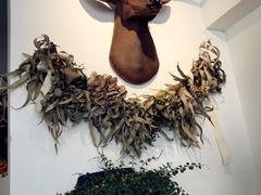 -一棵树咖啡馆(泉乐坊店)
