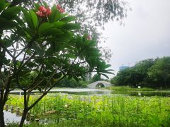 -映月湖公园