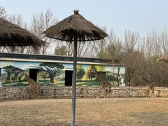 -北京野生动物园