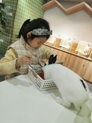 -Moni星球萌宠·小马宝莉·灵蛇·高端高阶全萌宠互动体验俱乐部(红豆国际广场店)