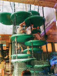 -恐龙探索乐园(磁器口店)