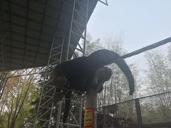 -清迈夜间动物园