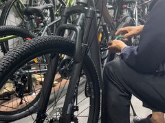 -道路口单车爱瓦士dahon大行