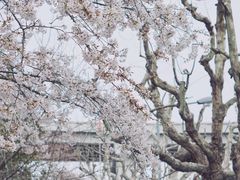 -南浦大桥长途旅游客运站