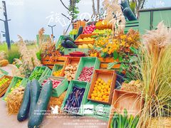 -中国天府农业博览园