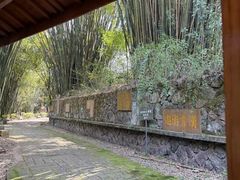 -九曲溪竹筏码头