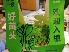 -海底捞火锅(旭辉MALL店)