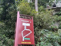 -灵顺寺