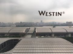 窗外-广交会威斯汀酒店