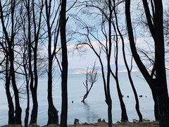 -洱海月湿地公园