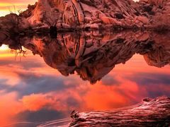 -菓树主题烘焙吧(五四西路店)