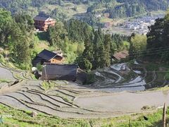 -紫鹊界梯田景区