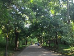 -灵谷景区