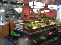 -洞庭家宴·头牌甲鱼(广渠门店)