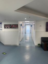 -温州伯思立医院