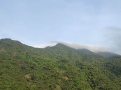 -梧桐山风景名胜区