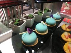 -新食谱全日制餐厅·苏州苏州湾艾美酒店