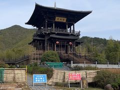 -大唐贡茶院