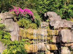 -广州神农草堂中医药博物馆