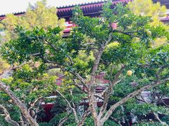 -秦始皇帝陵博物院-丽山园