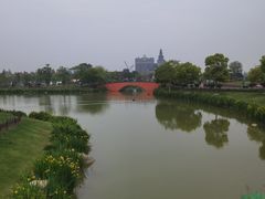 -荷兰花海