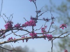 -花溪公园