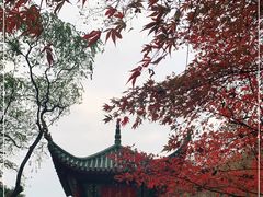 -岳麓山风景名胜区