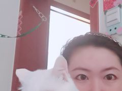 -1点点(国美店)