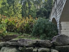 -重庆彩云湖湿地公园