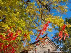 -青岛崂山太清宫