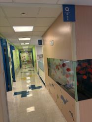 -杭州贝瑞斯美华妇儿医院·早孕·产检·儿科