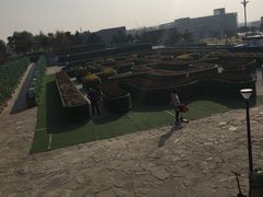 -莫子山公园