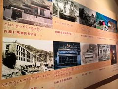 -青海藏文化博物院