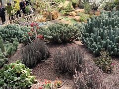 -南通洲际绿博园