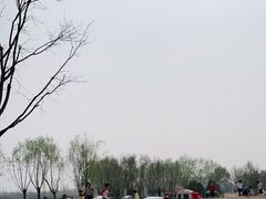 -东郊湿地公园