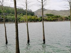 -凤岗南门山森林公园
