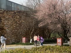 -国际非物质文化遗产博览园