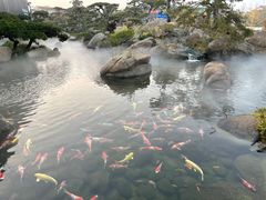 -罗红摄影艺术馆