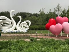 -东郊湿地公园