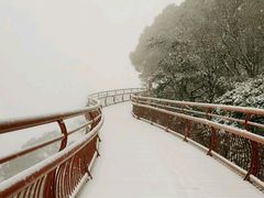 -少华山国家森林公园