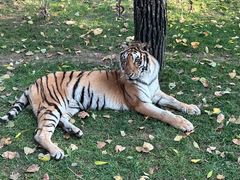 -北京野生动物园