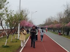-艾溪湖湿地公园