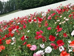 android_upload_pic-富田农场