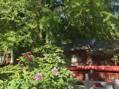-潭柘寺景区